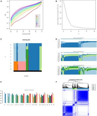 Immune-Related Gene-Based Novel Subtypes to Establish a Model Predicting the Risk of Prostate Cancer